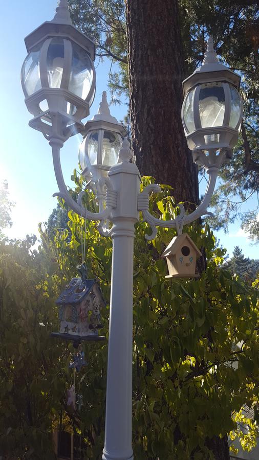 Bluebird Cottage Inn Айдлуайлд Экстерьер фото